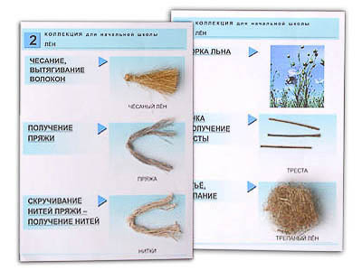 Коллекция 