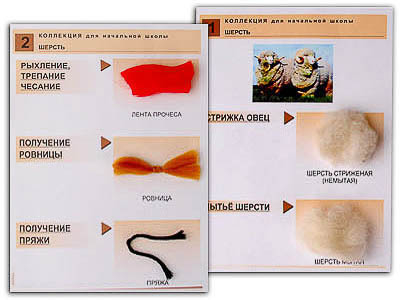 Коллекция 
