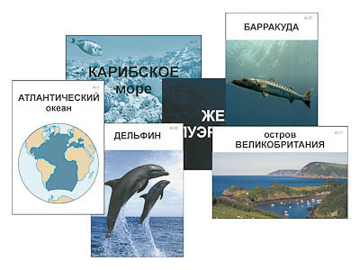 Модель-аппликация 