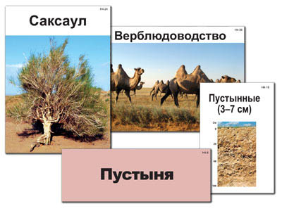 Модель-аппликация 