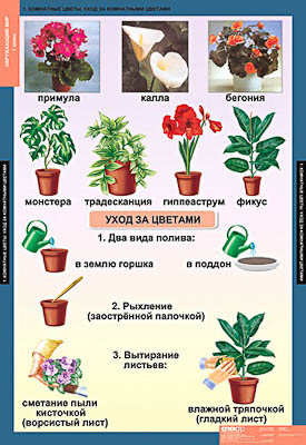 Таблицы демонстрационные 