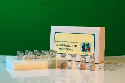 Коллекция 