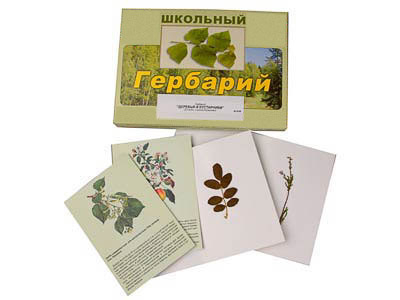 Гербарий 