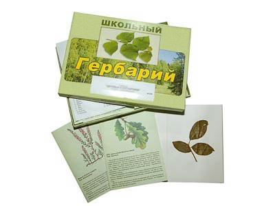 Гербарий 