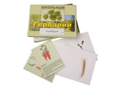Гербарий 