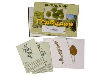 Гербарий 