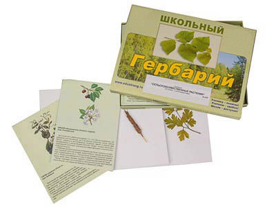 Гербарий 