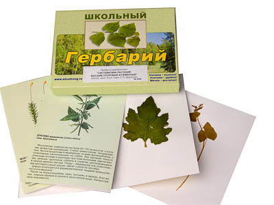 Гербарий 