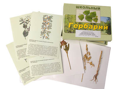 Гербарий 