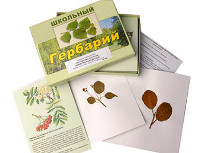 Гербарий 