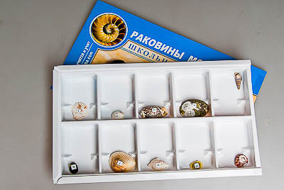 Коллекция 