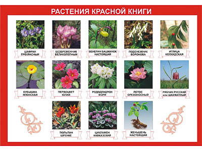 Таблица демонстрационная 