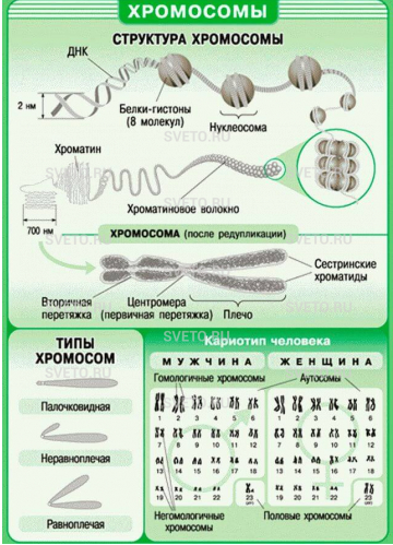Таблицы демонстрационные 