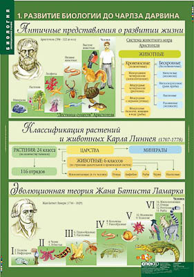 Таблицы демонстрационные 