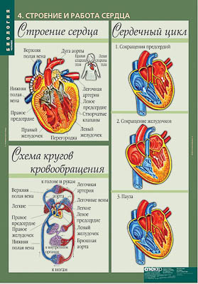 Таблицы демонстрационные 