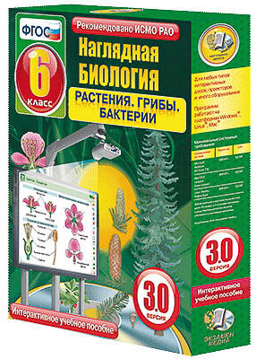 Интерактивное учебное пособие 