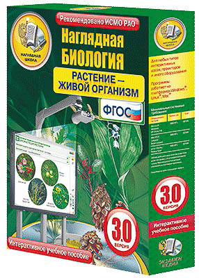 Интерактивное учебное пособие 