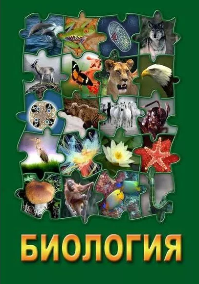 Компакт-диск 