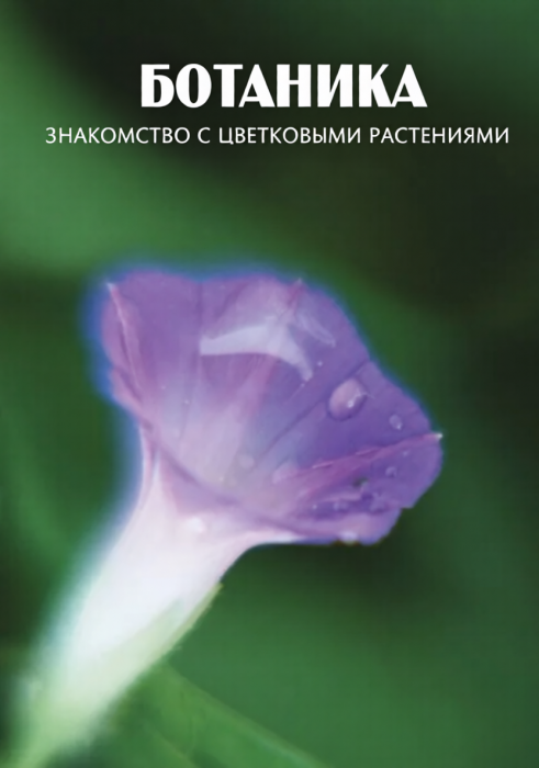 Компакт-диск 