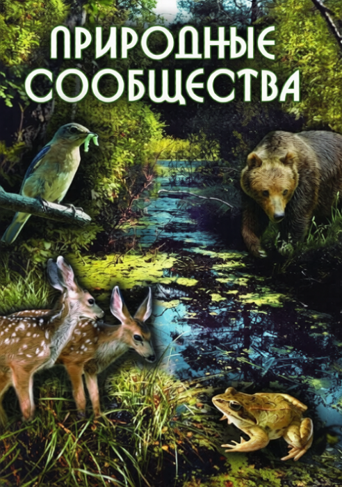 Компакт-диск 