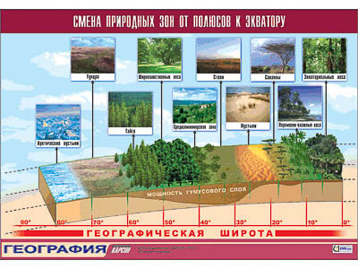 Таблица демонстрационная 