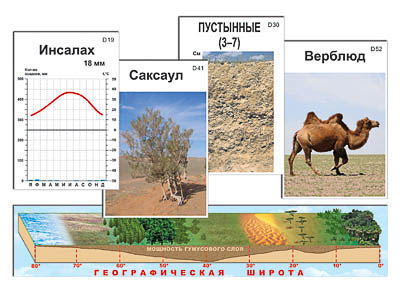 Модель-аппликация 